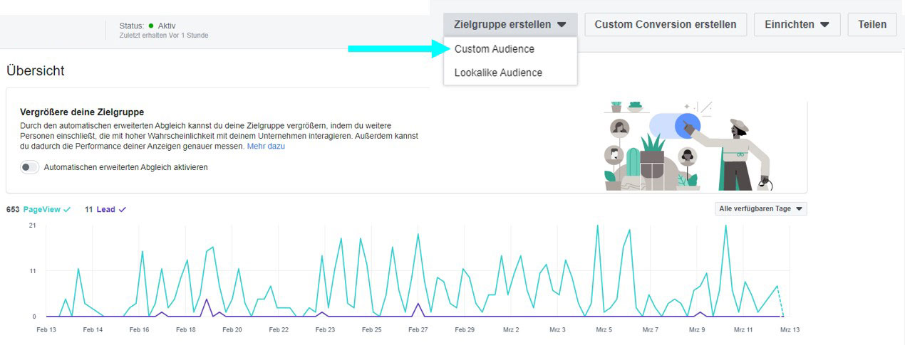 Custom Audience anlegen